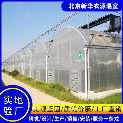 温室大棚的生产 南阳市温室大棚造价 天津的温室大棚