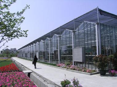 智能温室大棚设计-智能温室-北京新华农源温室工程技术