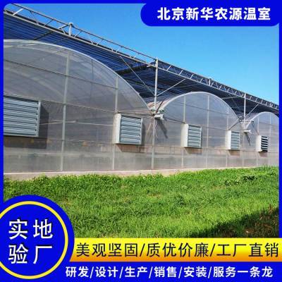 辽宁鞍山有机农业蔬菜温室大棚连栋薄膜、4米高度型施工企业